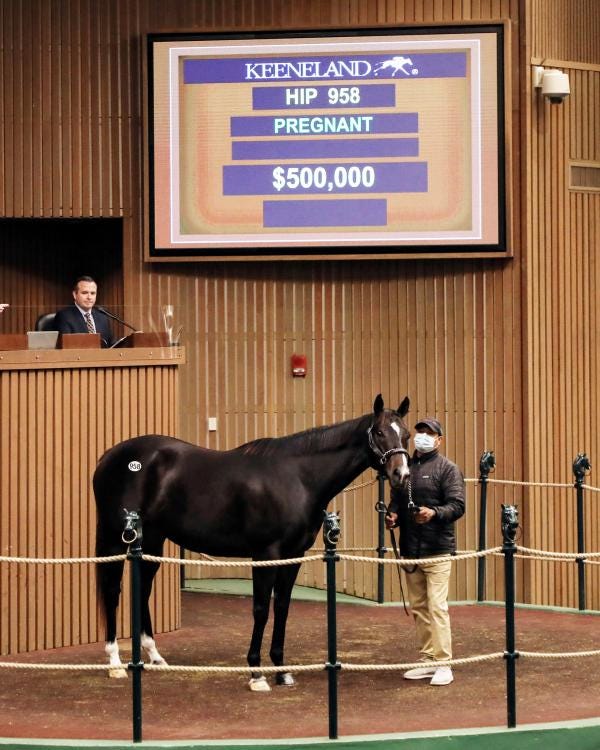 Keeneland November Mare In Foal To Speightstown Tops Wednesday Session To Conclude Book 2