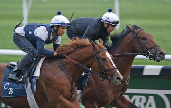 Coupled entry horse racing