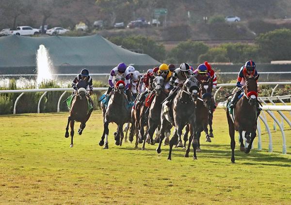 Del Mar turf racing