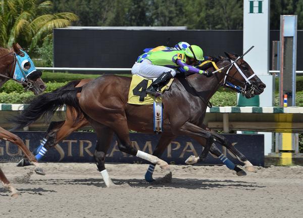 Las Marcas Para Gulfstream Park West