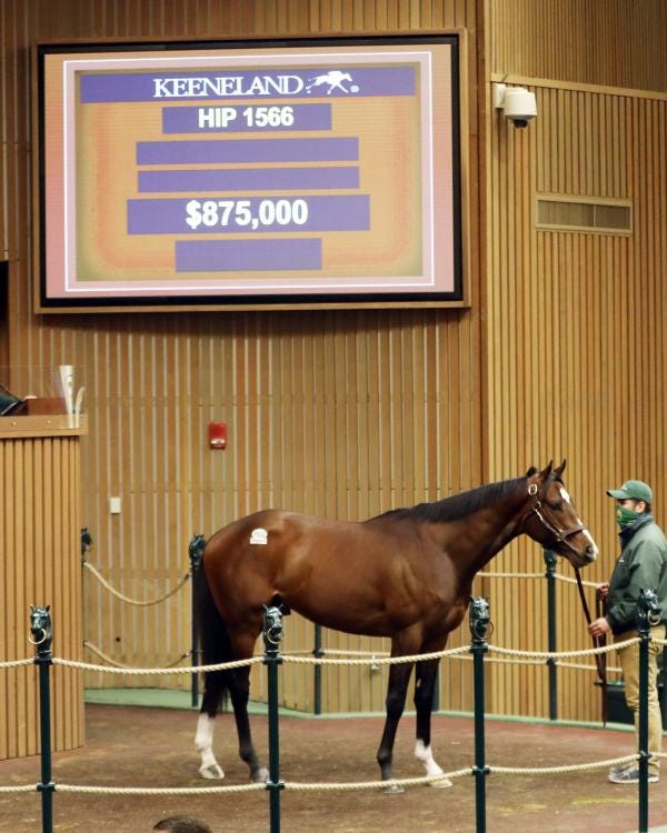 Prominent Dispersals Fuel Gains At Keeneland January Sale