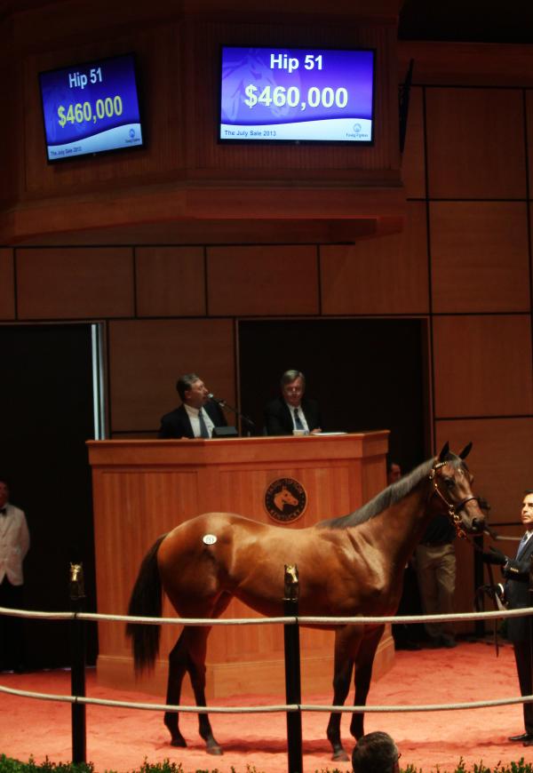 FasigTipton July yearling sale Strong upper market leads to gains in