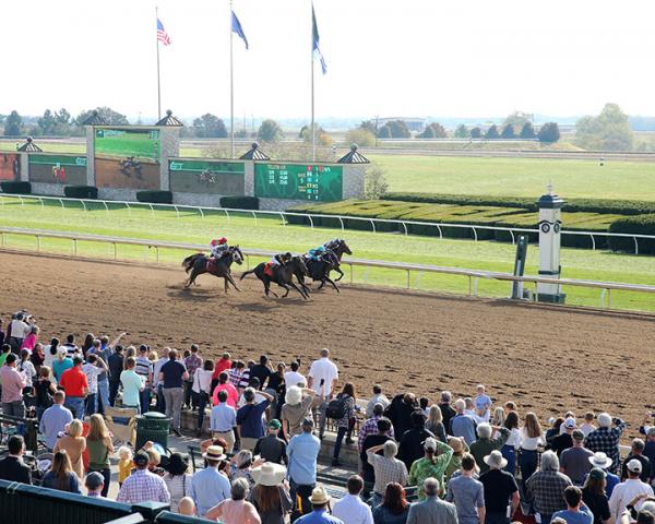 Keeneland To Allow Horse Owners To Attend Upcoming Meet