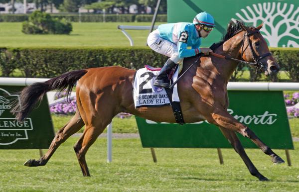 Sparkman: Lady Eli displays class from an Aga Khan mare