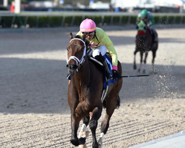 Last Judgment Takes Paceless Sunshine Classic At Gulfstream