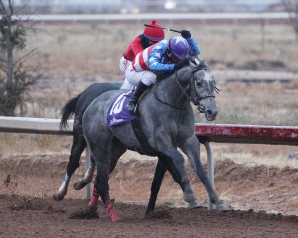 Mr Money Bags Battles To Victory In Zia Park Derby