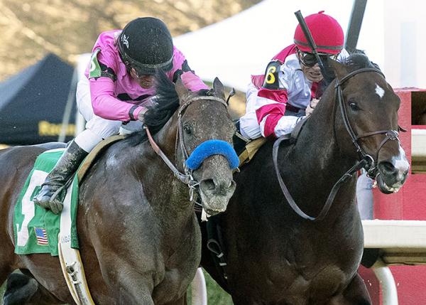 Kentucky Derby Pedigree Profile Omaha Beach