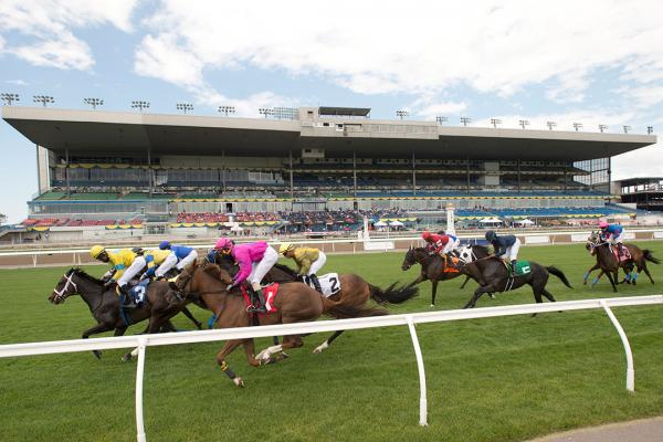 Stakes Schedule 2022 Woodbine Releases $17 Million Stakes Schedule For 2022; Canadian  International On Hiatus