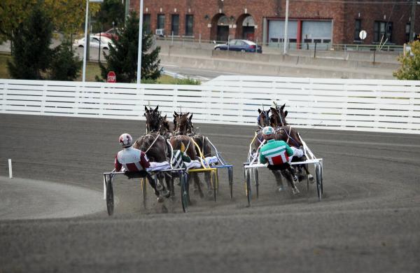 Harness Evaluating The Track Surface Changes At Yonkers Meadowlands