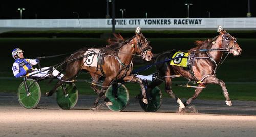 Yonkers Pacing Triple Crown Try At Hand After Stay Hungry Grabs Messenger Title