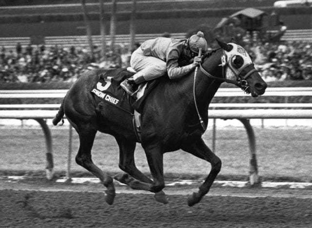 Snow Chief in 1986  Santa Anita Derby: Ten races that left their mark  Daily Racing Form