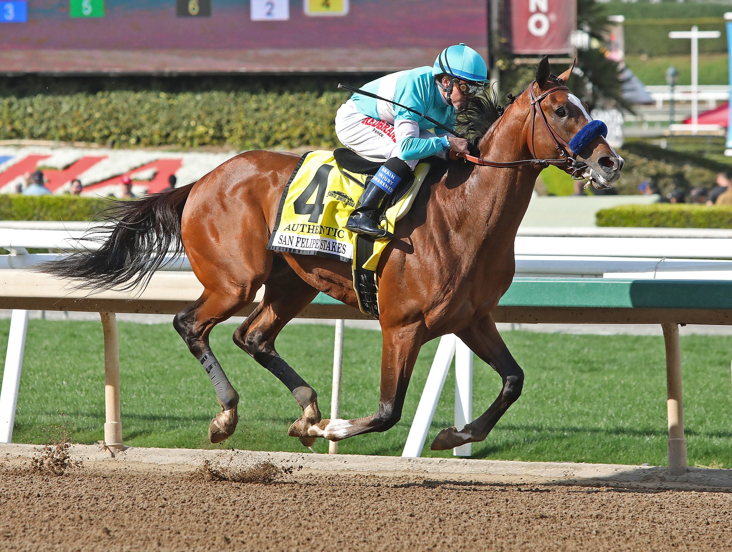 Authentic takes them all the way in San Felipe Stakes