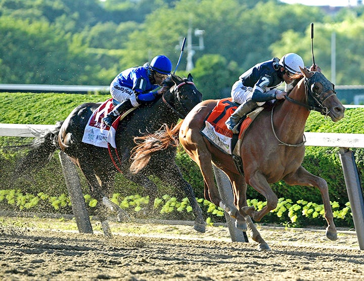 Sir Winston 2019 Belmont Winner Retires To Crestwood Farm   BL19.Sir Winston16.6 8 19.RBE  