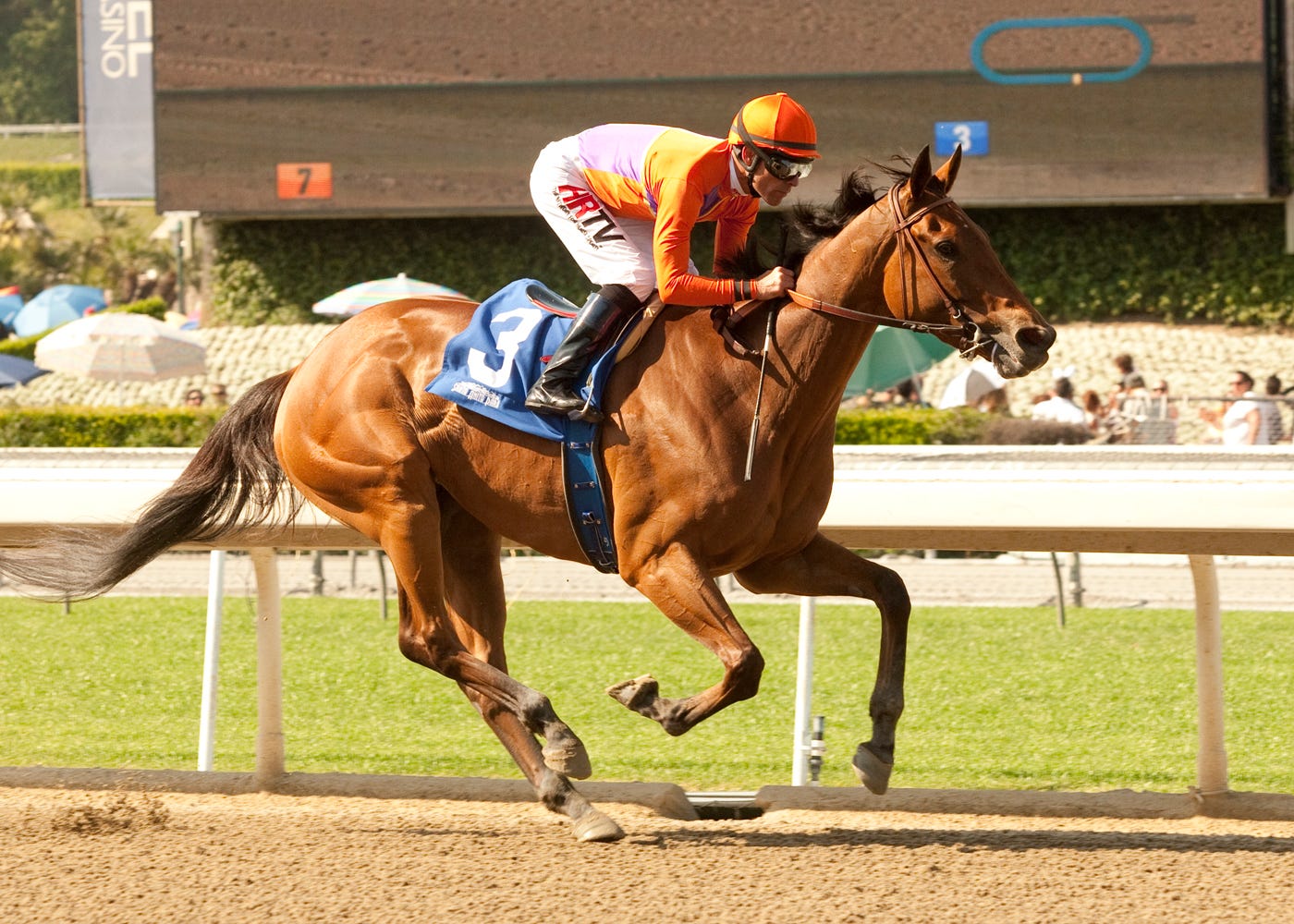 Belmont Park spring meet looks better than ever