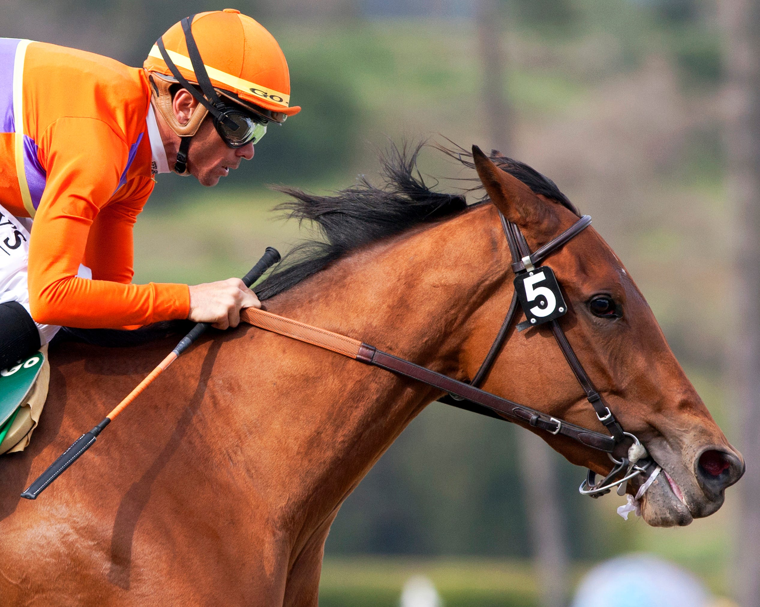 Santa Anita Oaks Beholder will be tough to catch