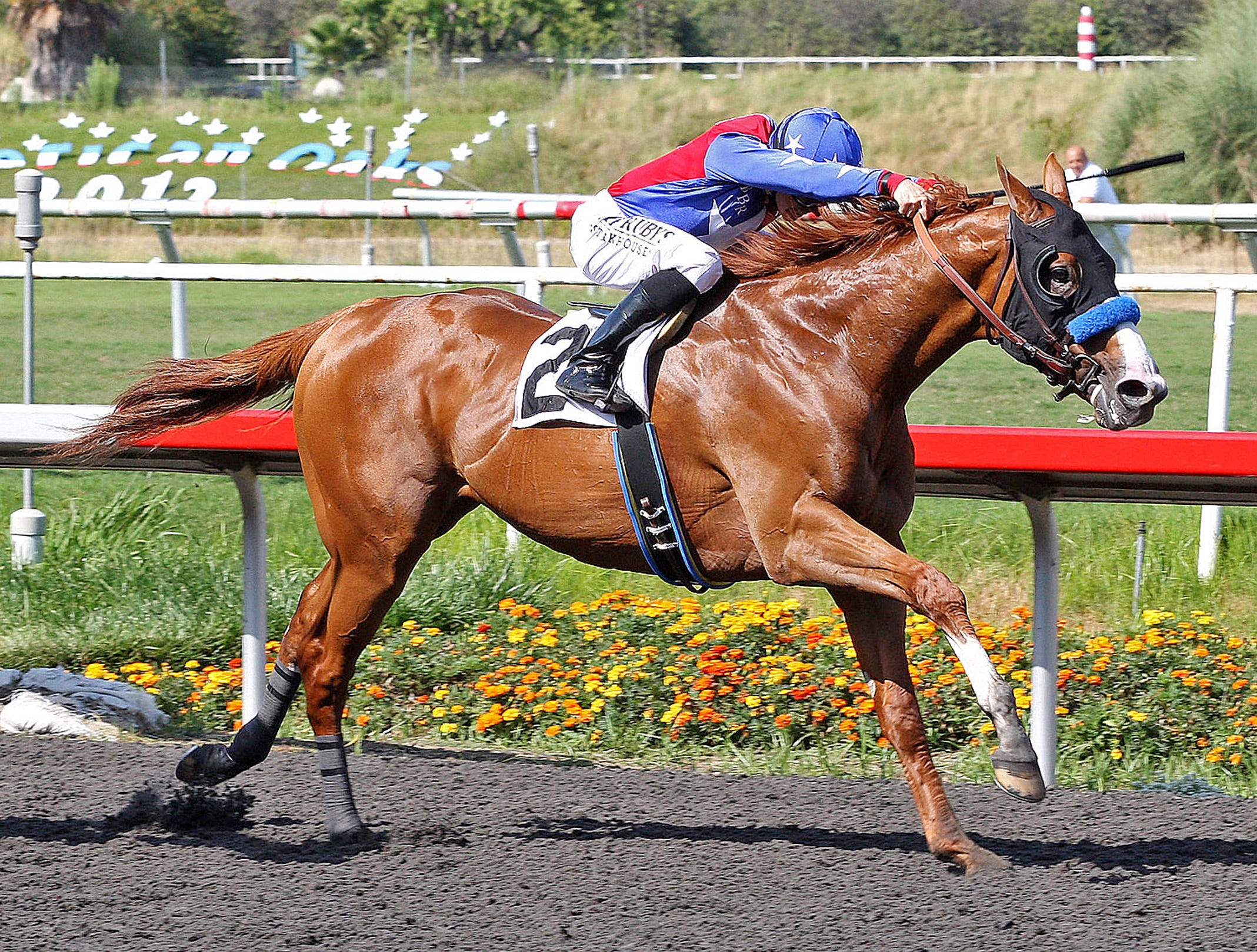 Louisiana Downs Blueskiesnrainbows early favorite for Super Derby