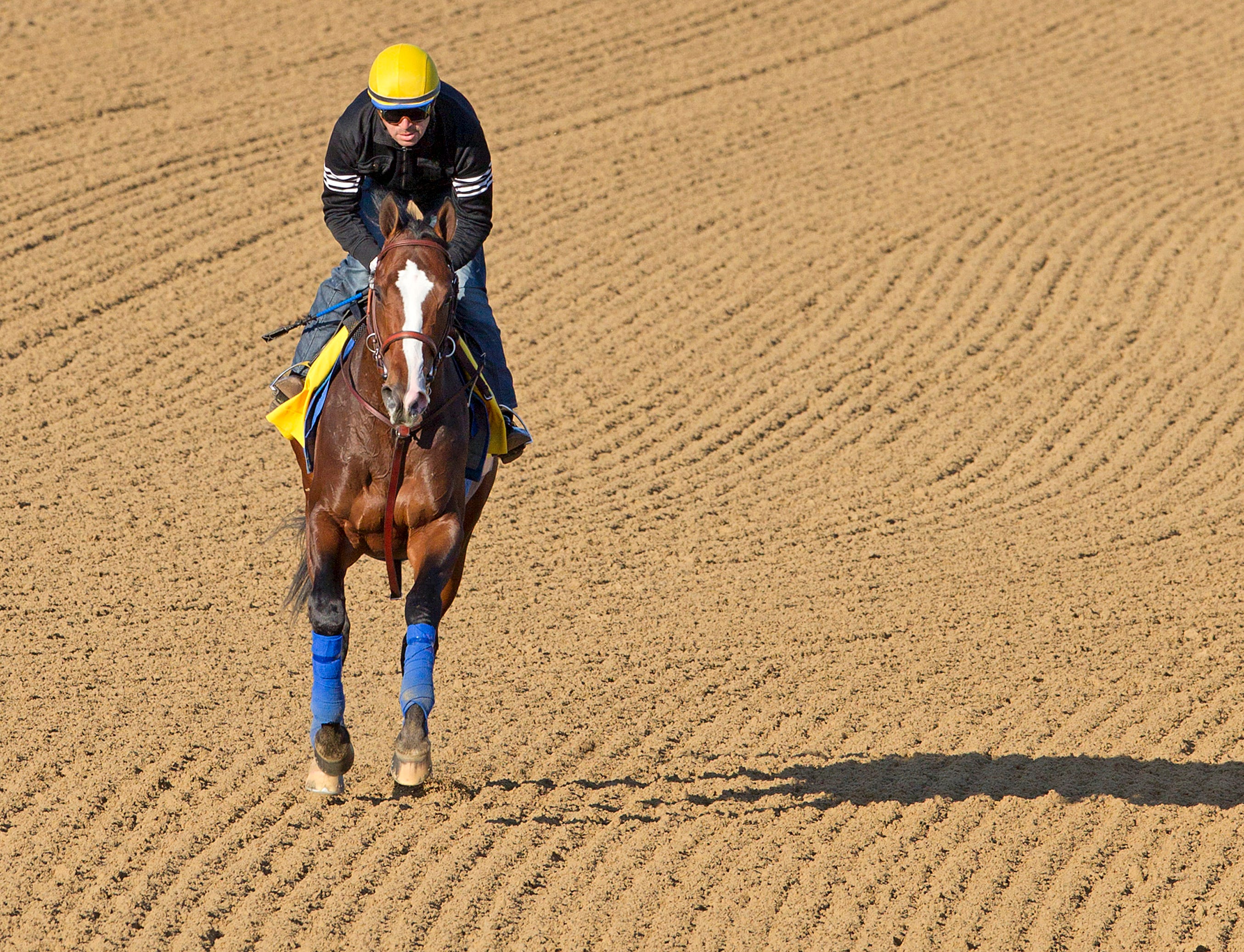 Crist Here's why picking Kentucky Derby winner is so hard