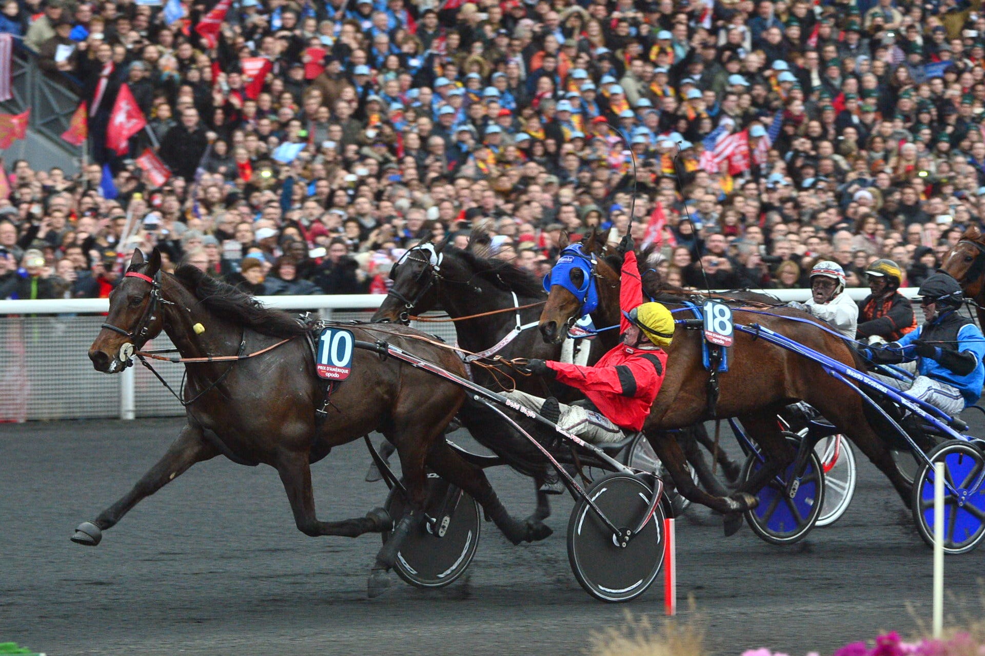 Harness: Bold Eagle wins Prix d'Amerique