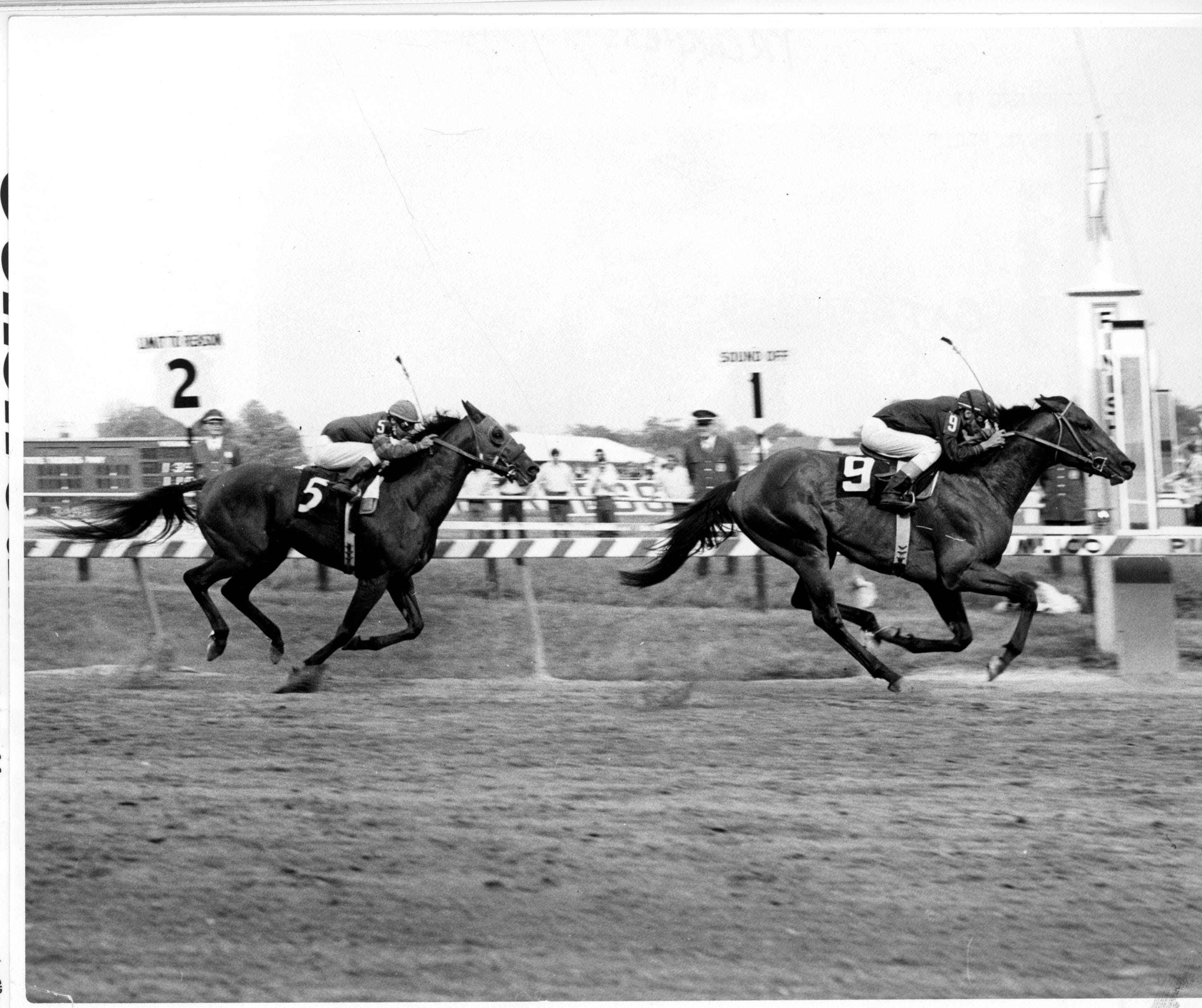 No. 10 Preakness Moment: The Fairy Tale, 1971