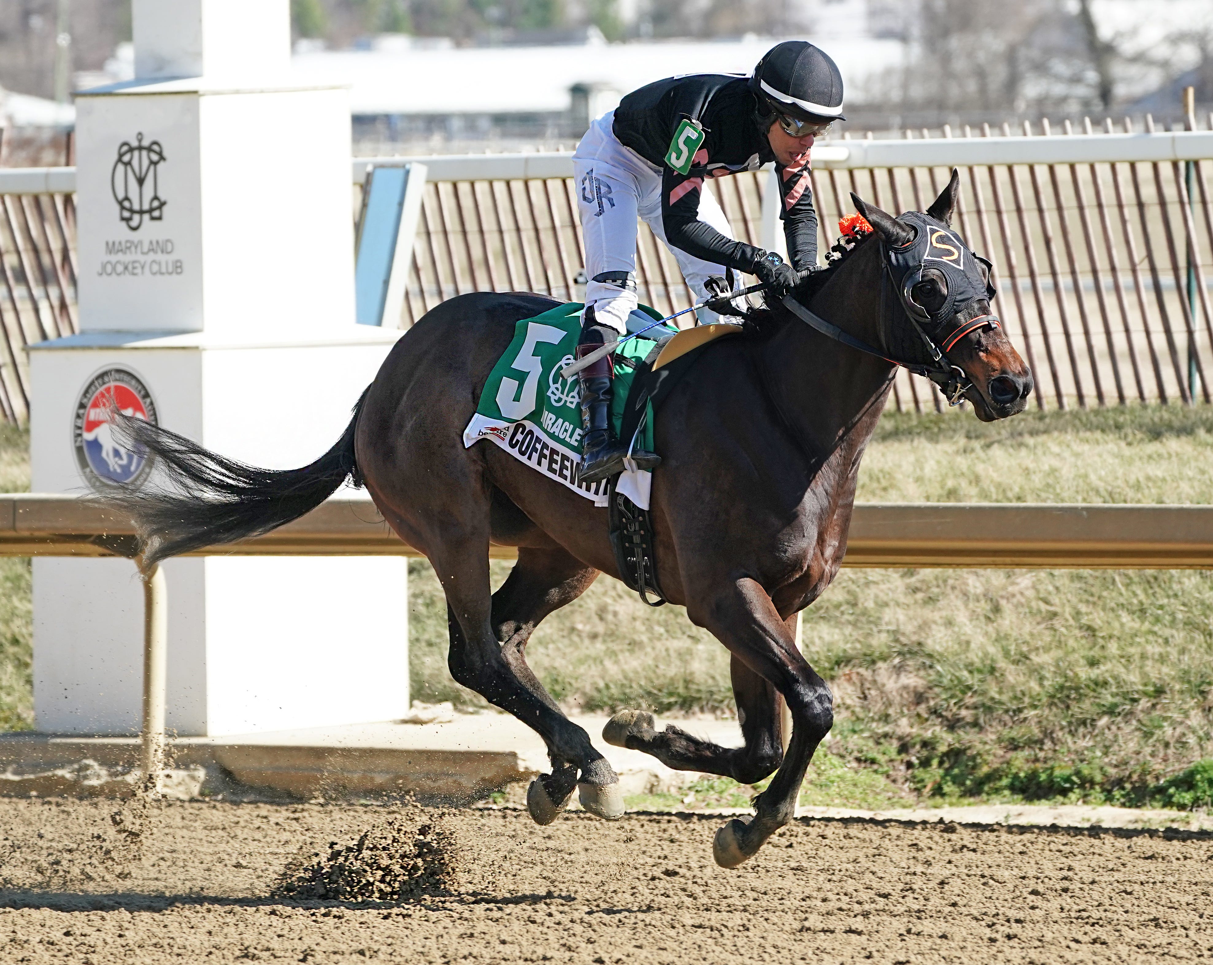 Coffeewithchris takes his breeder, NTRAs Rooney, into a classic