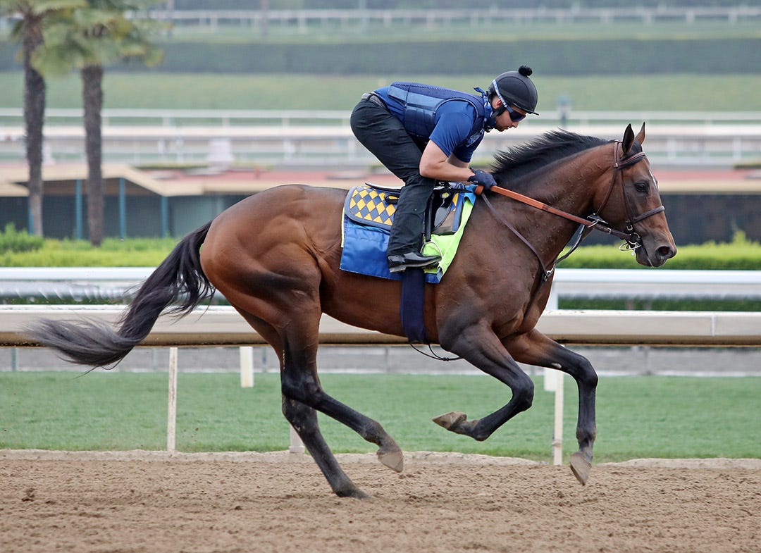 WinStar sends Country Grammer back to Baffert for 2022 campaign