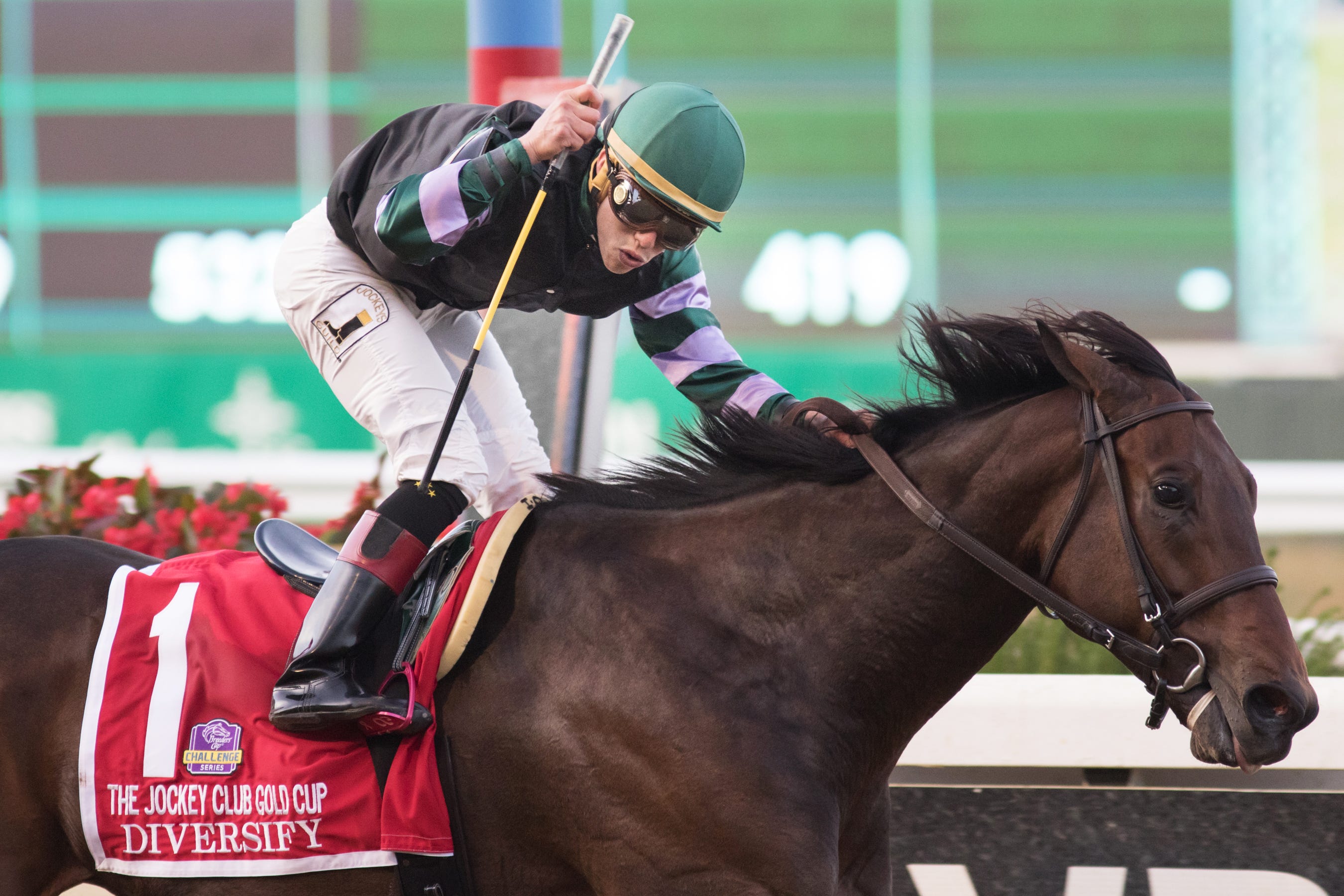 Waiting for Clark Handicap looks like a smart move for Diversify