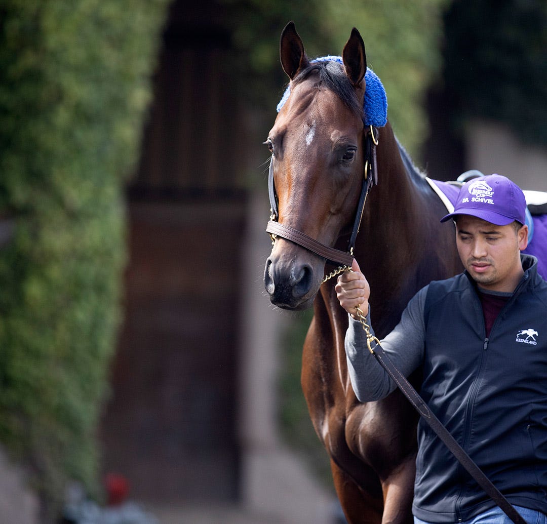 Dr. Schivel will be pointed to Del Mar meet