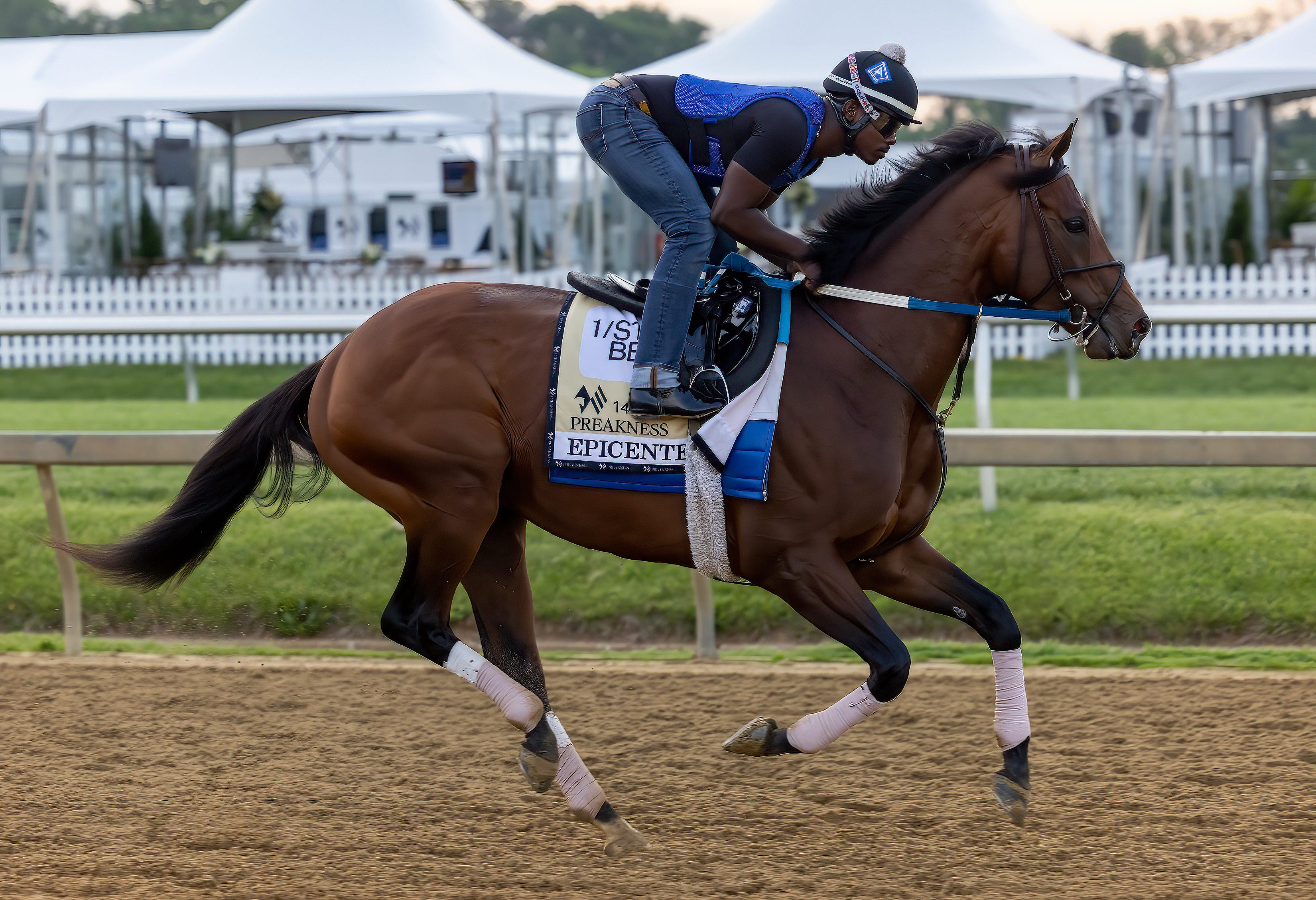 Preakness Stakes 2022 odds: Everything you need to know, Epicenter tabbed  favorite