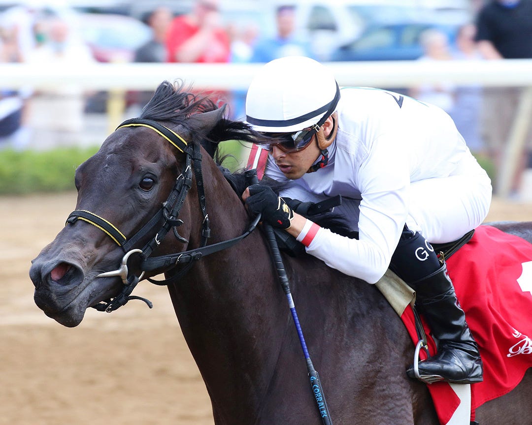 State champions head Best of Ohio stakes