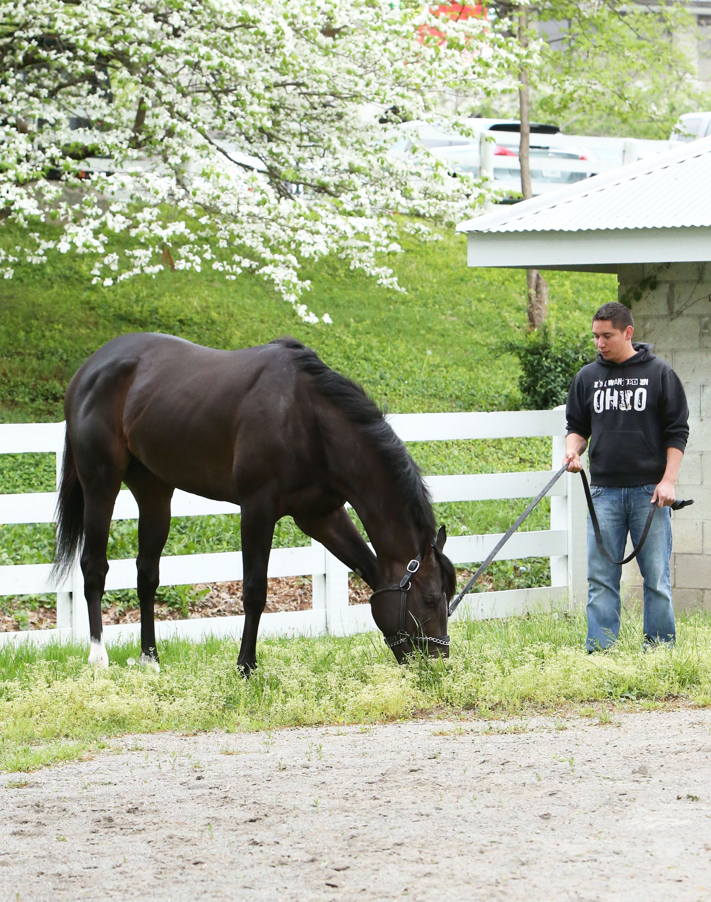 Girvin tries to mend quarter crack in time for Kentucky Derby