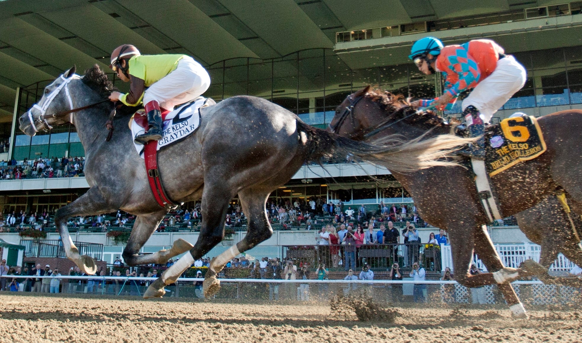 Kelso Graydar wins his prep for Breeders' Cup