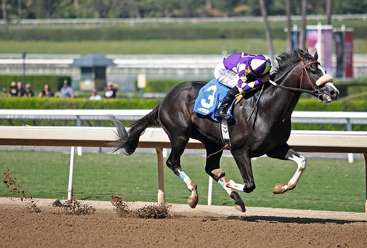 Kentucky Derby pedigree profile: Honor Marie