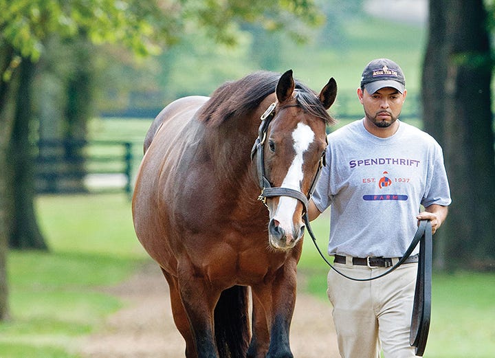 Into Mischief's stud fee rises to $175,000 for 2020