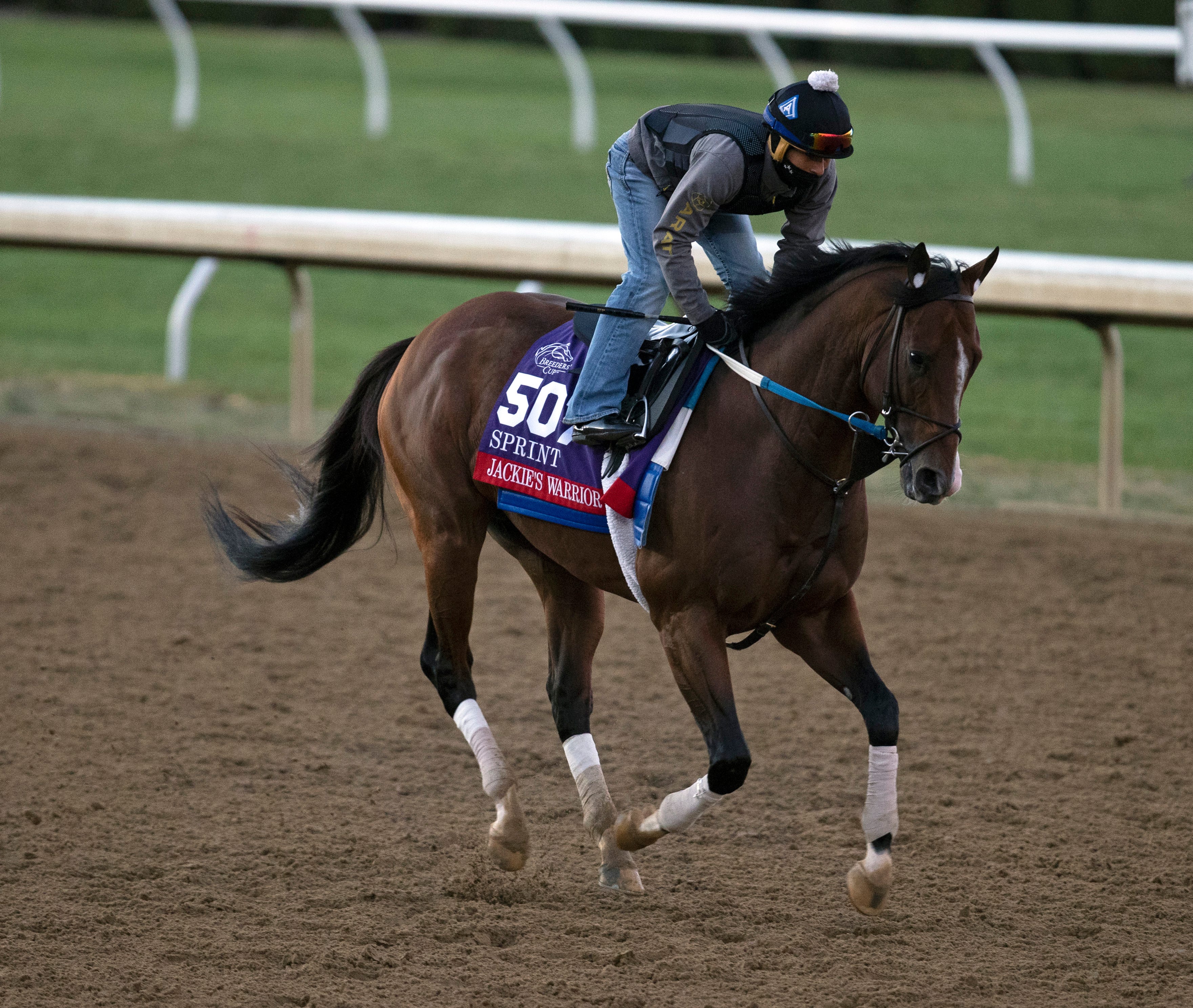 Breeders' Cup Sprint: Jackie's Warrior favored to end career with a bang