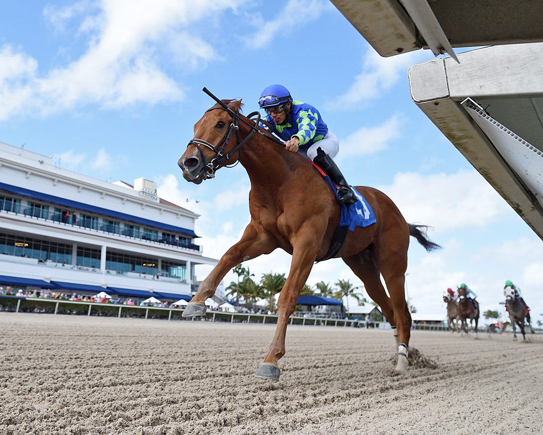 Allowance has implications for spot in Florida Derby field