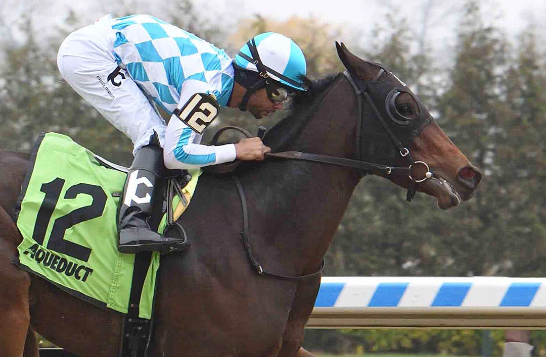 Duggan carries momentum into pair of allowance races