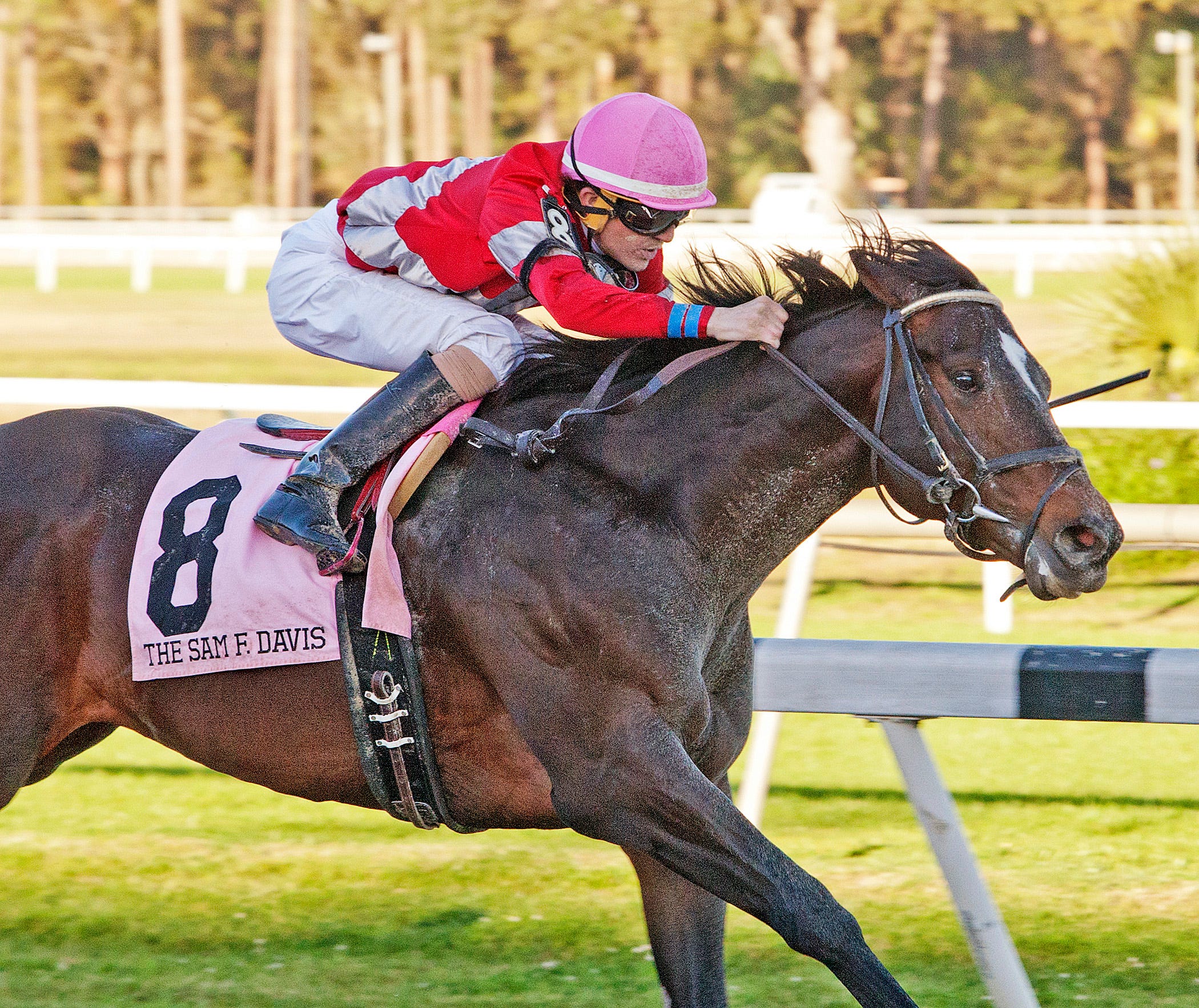 McCraken training, but will miss Tampa Bay Derby