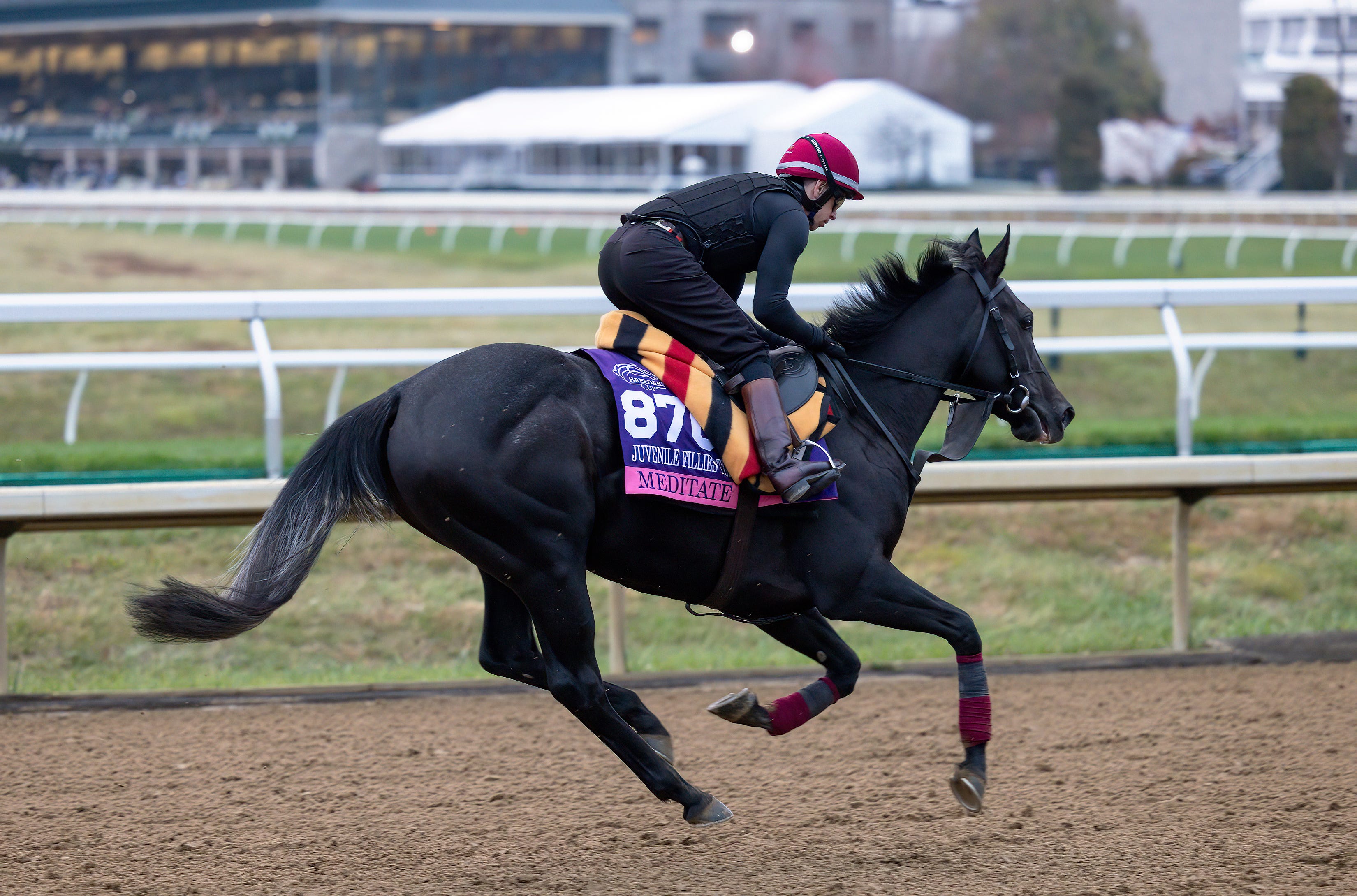 Breeders' Cup Juvenile Fillies Turf Diverse cast lacks a standout