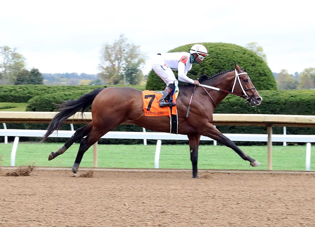 Breeders' Cup Sprint Asmussen loses little going to the bench