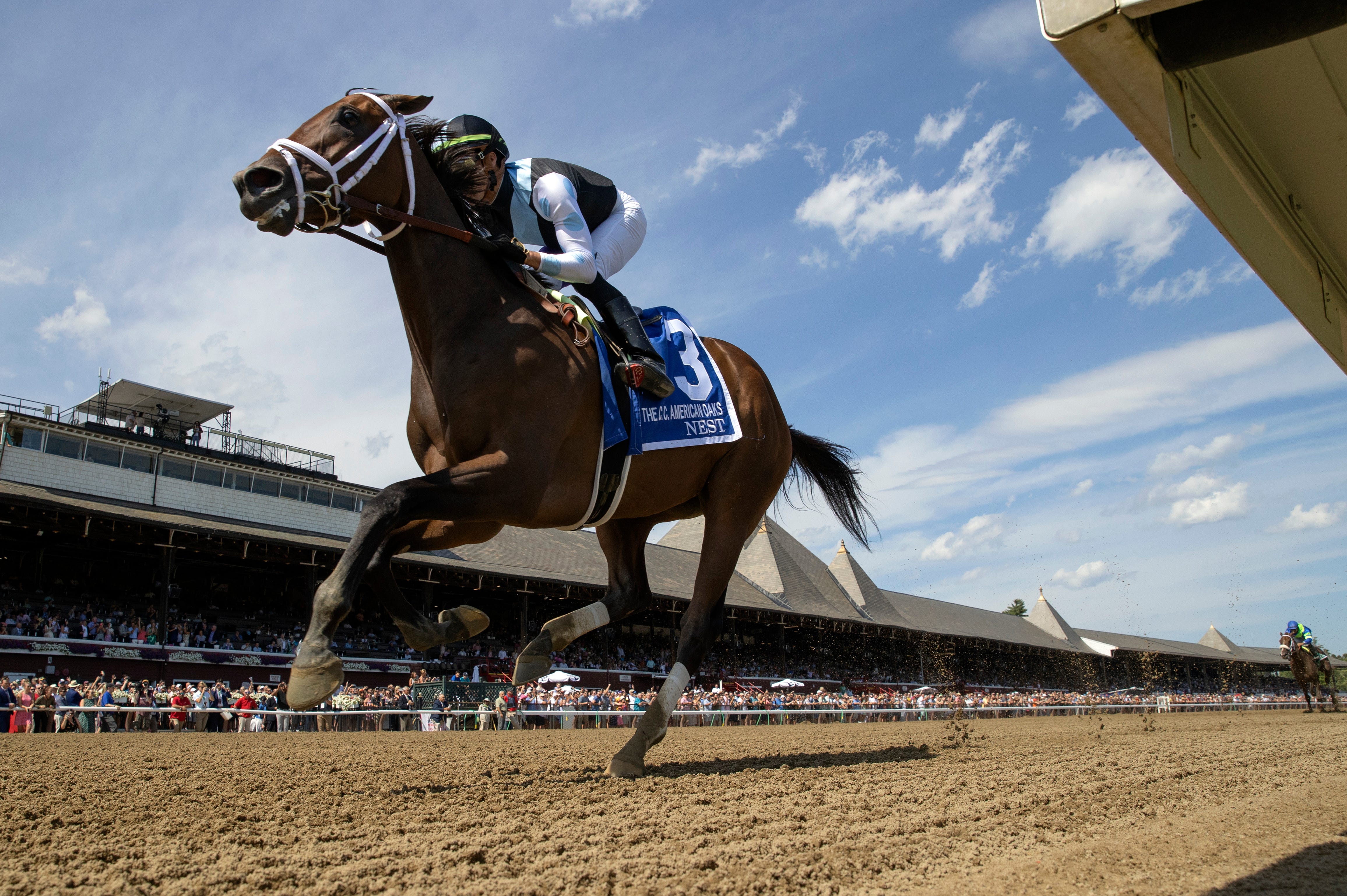 Nest And Secret Oath Go At It Again In Alabama Stakes