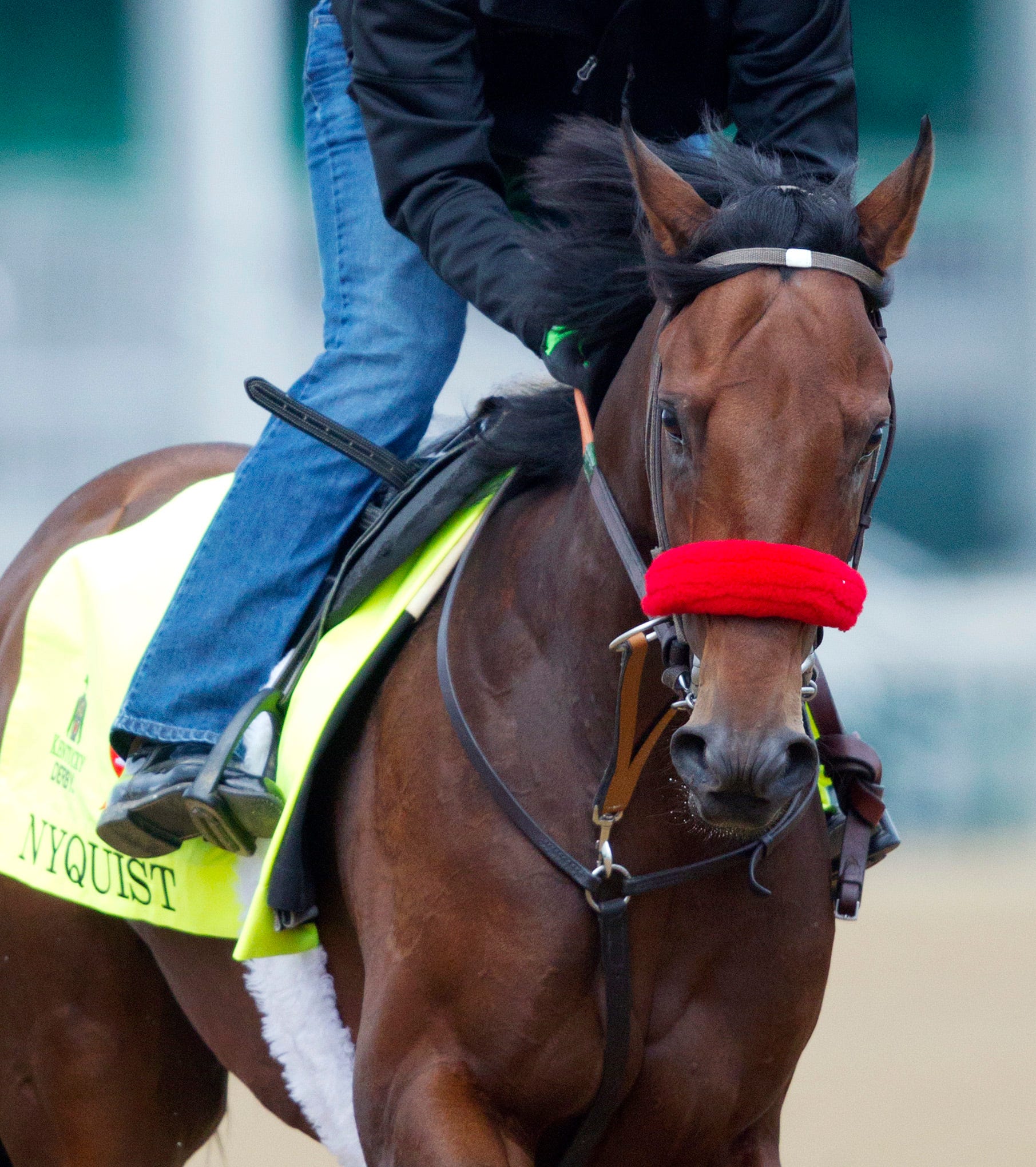 How the Kentucky Derby horses got their names