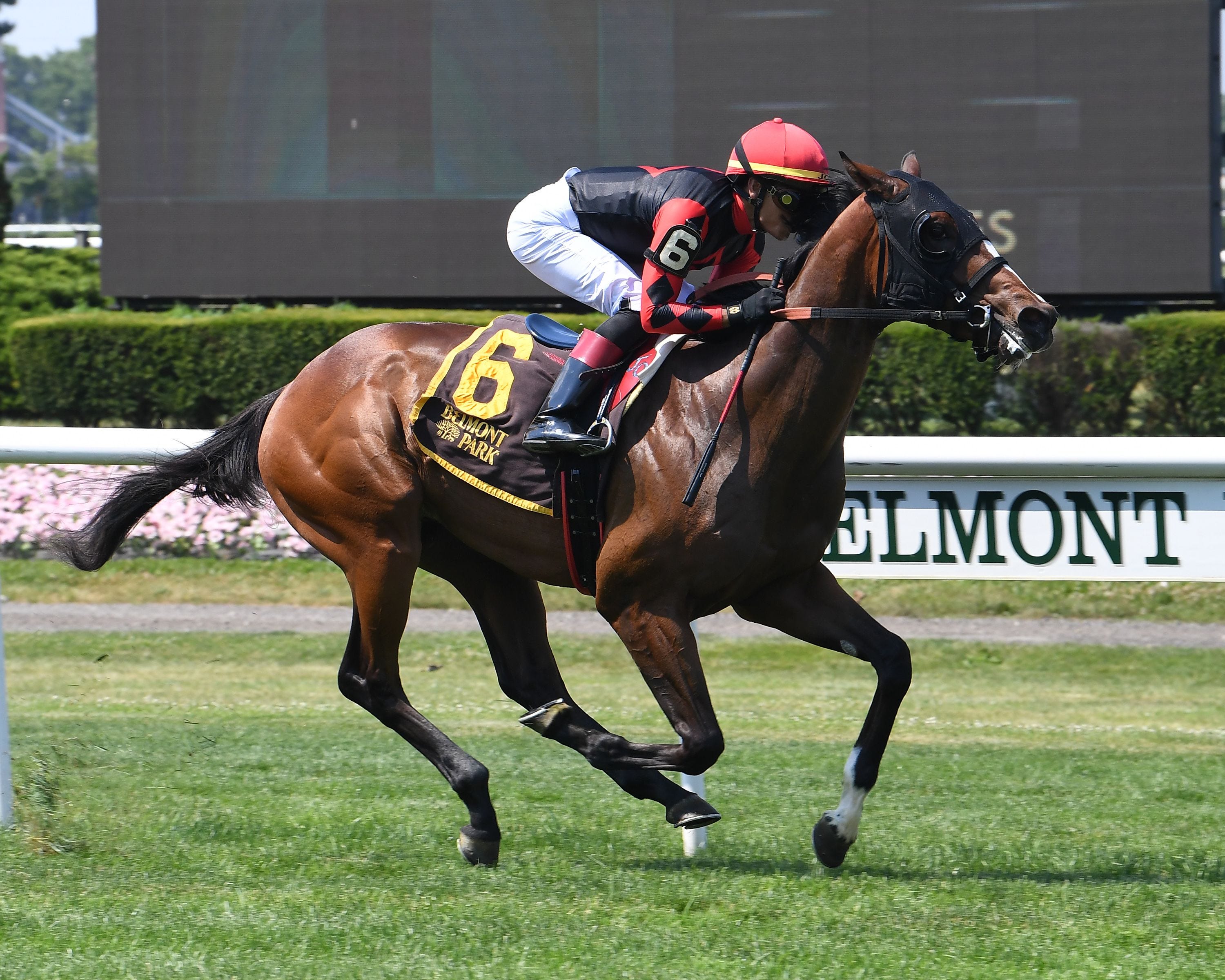 Brown has the horses to beat in Skidmore Stakes