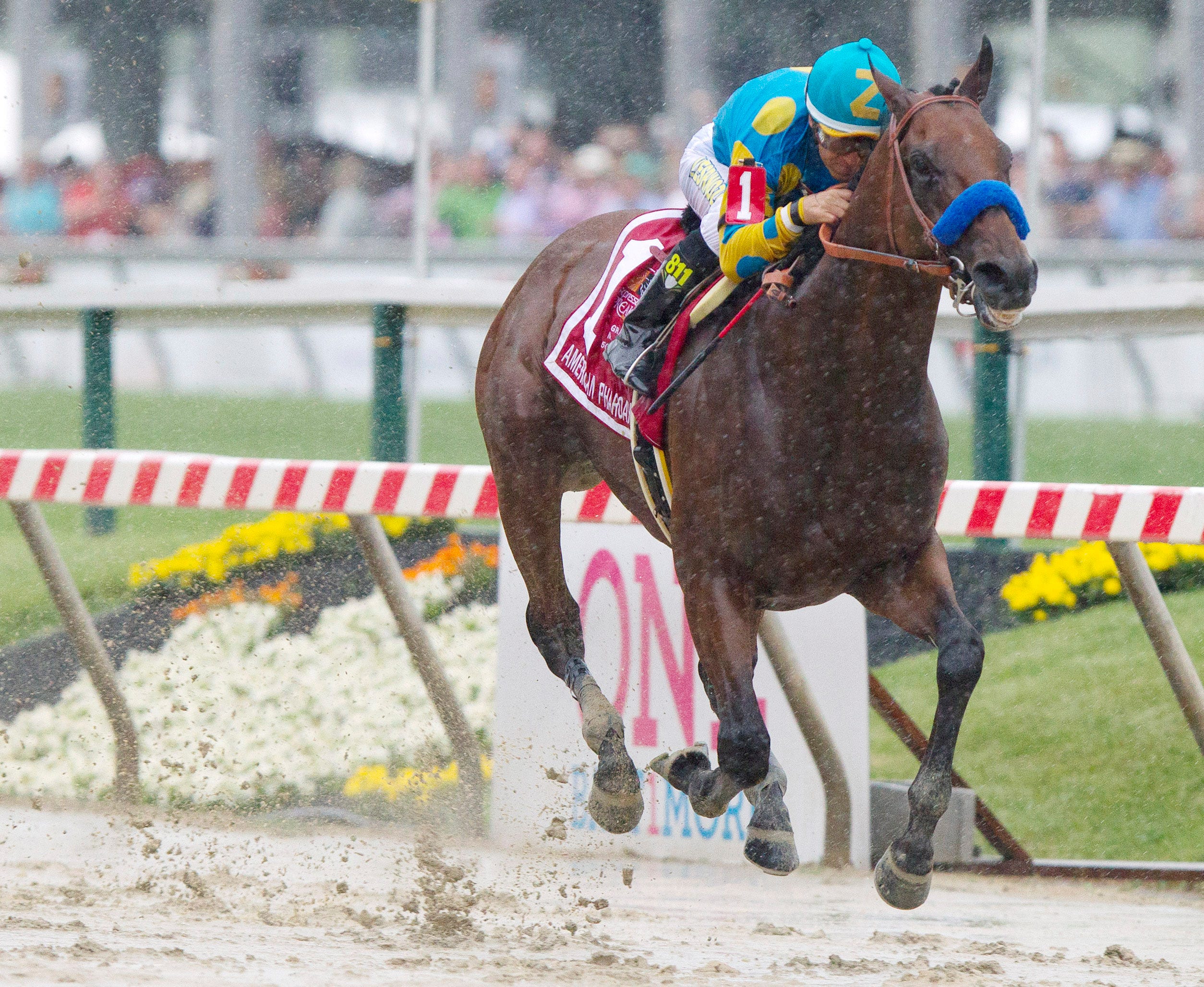 American Pharoah to stand at Ashford Stud when racing career ends