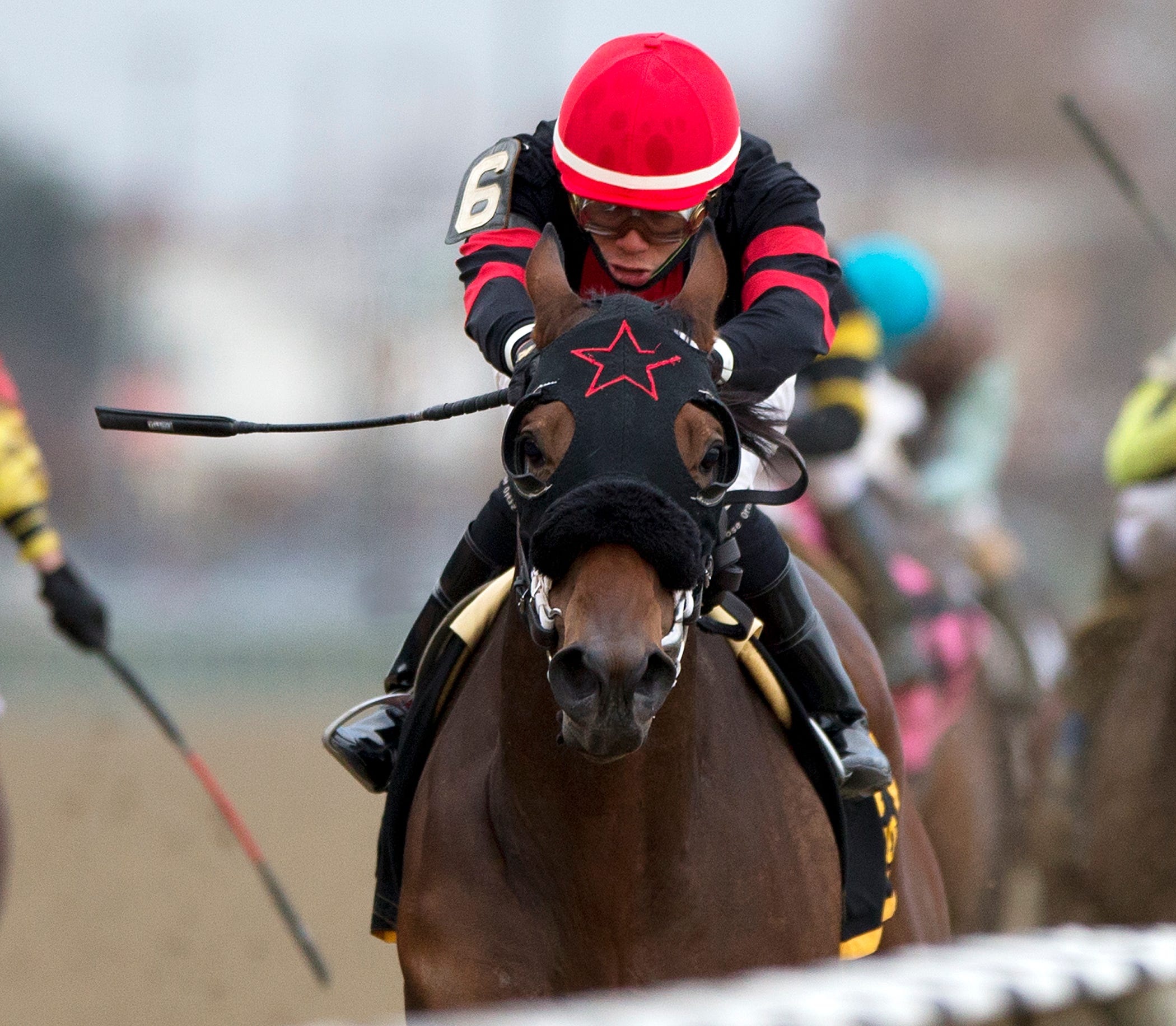 Ortiz brothers combine to sweep New York Stallion stakes