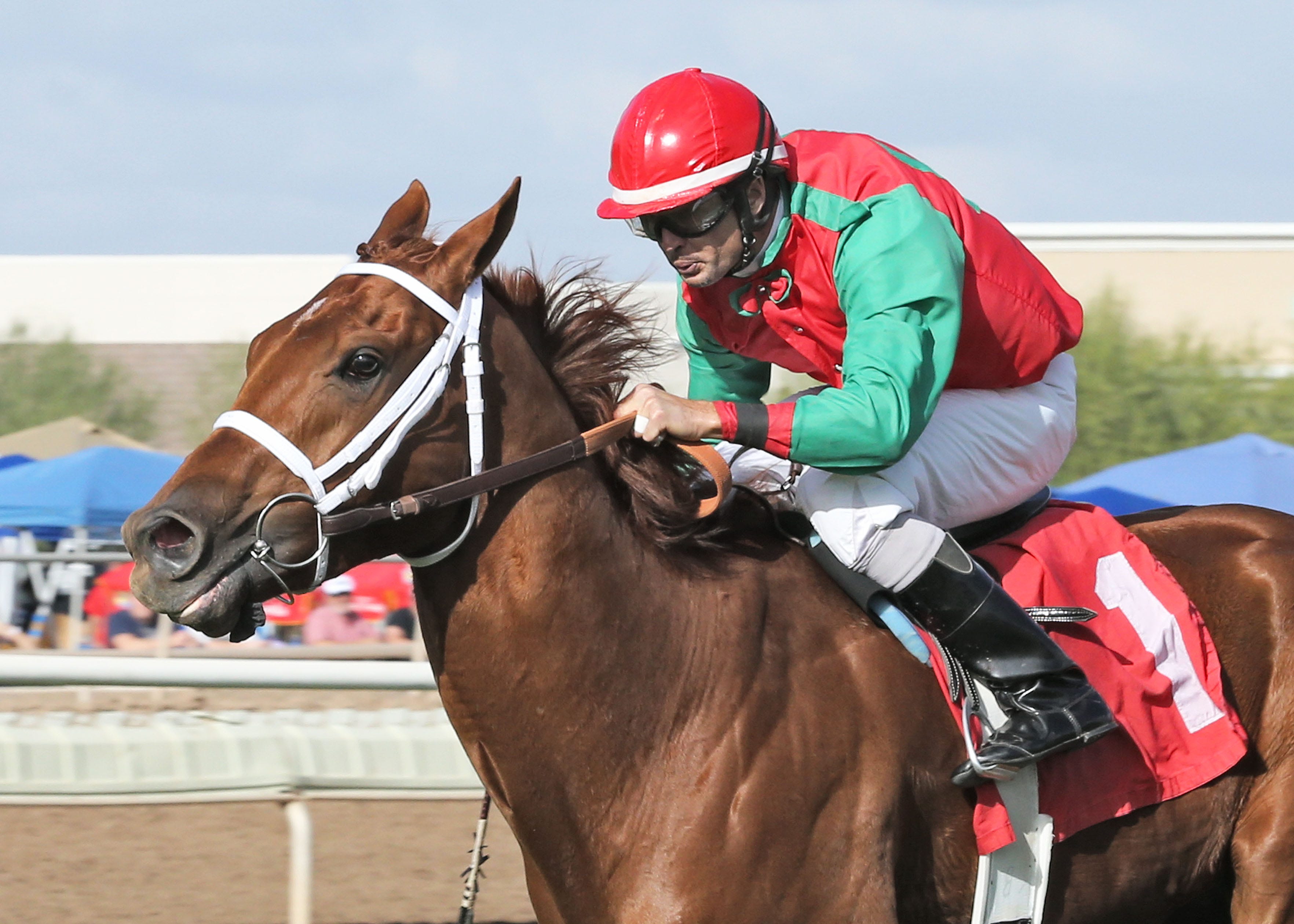 Turf Paradise: Red Zeus, Of Royalty engineer stakes sweep for McFarlane