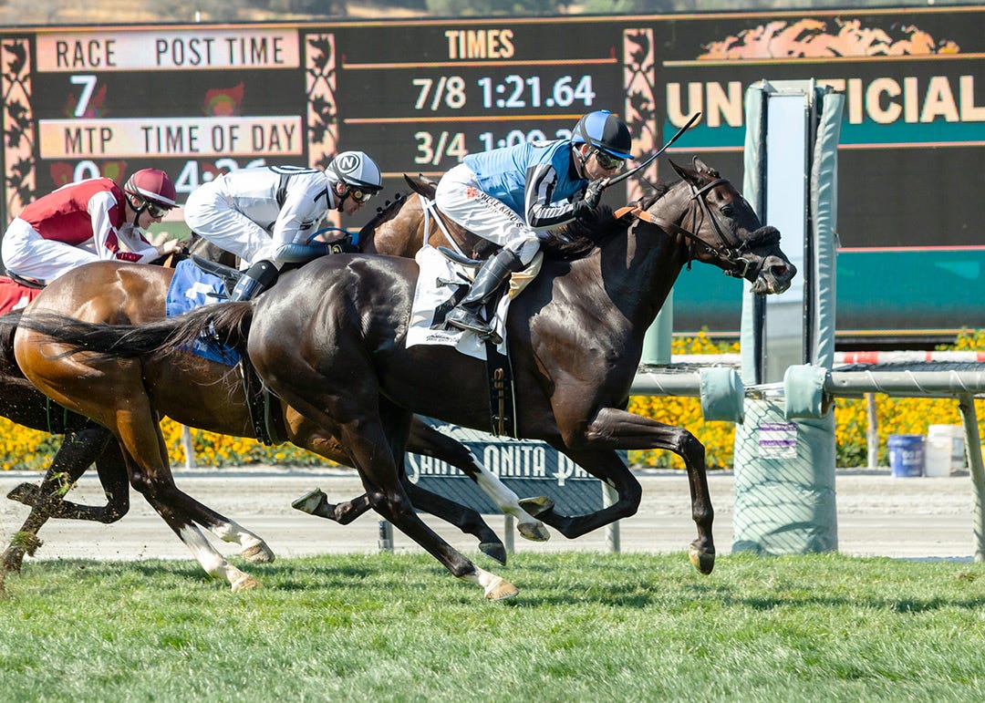 San Francisco Mile comes up bursting with talented turf horses