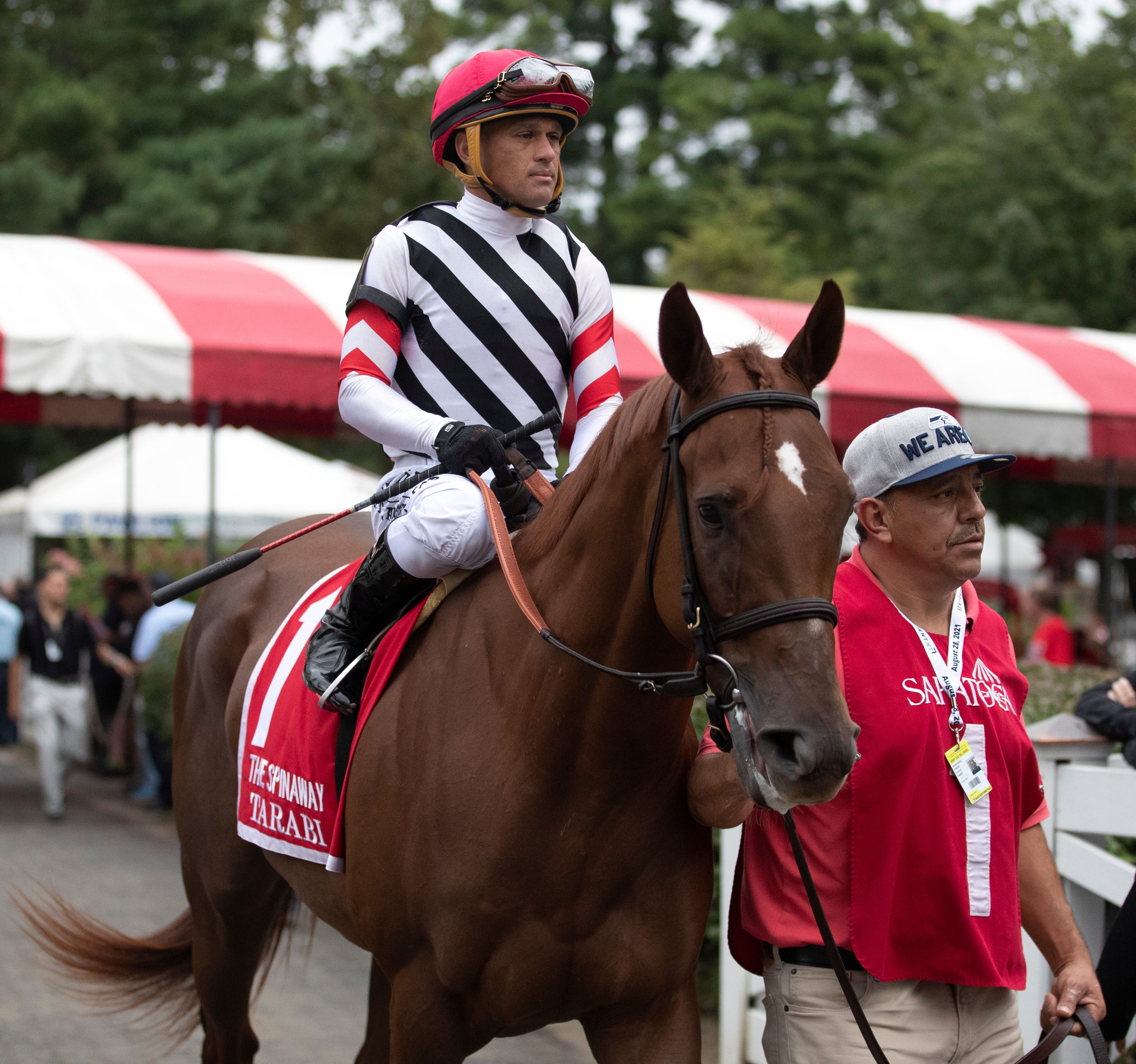 Wilson Chute makes its return with Wilton Stakes