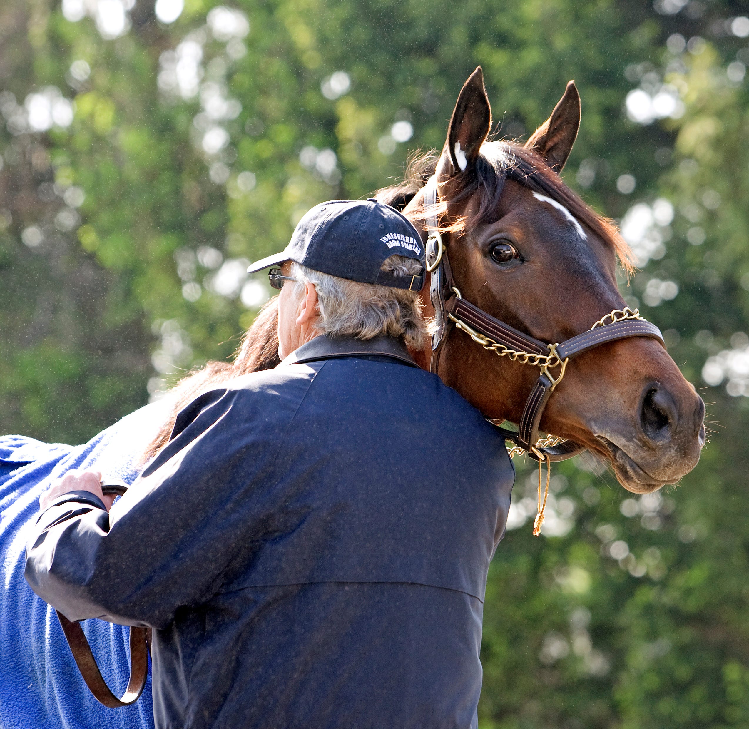 Zardana retired, will be bred in Kentucky