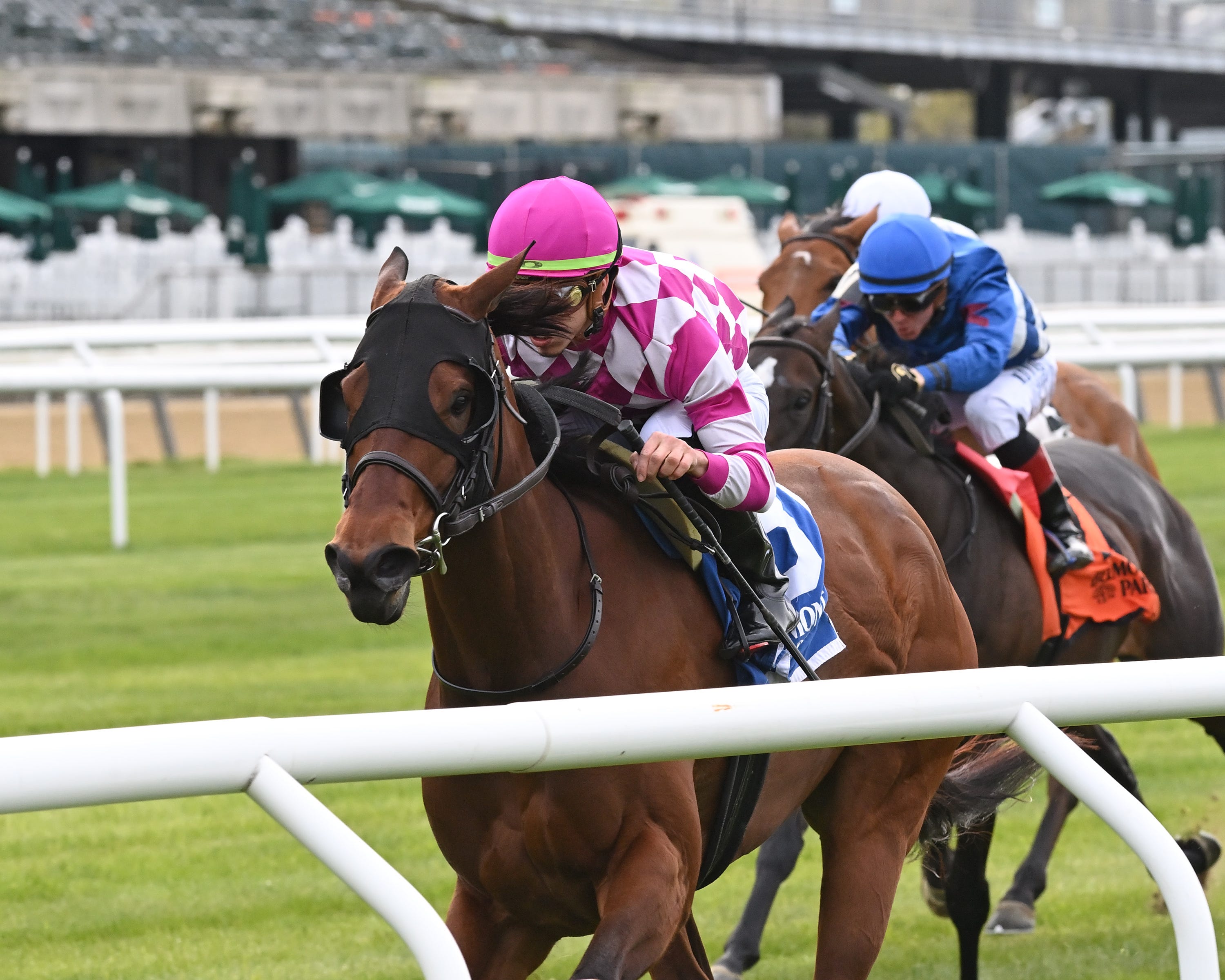 Miss J McKay surges past Igloo in License Fee Stakes