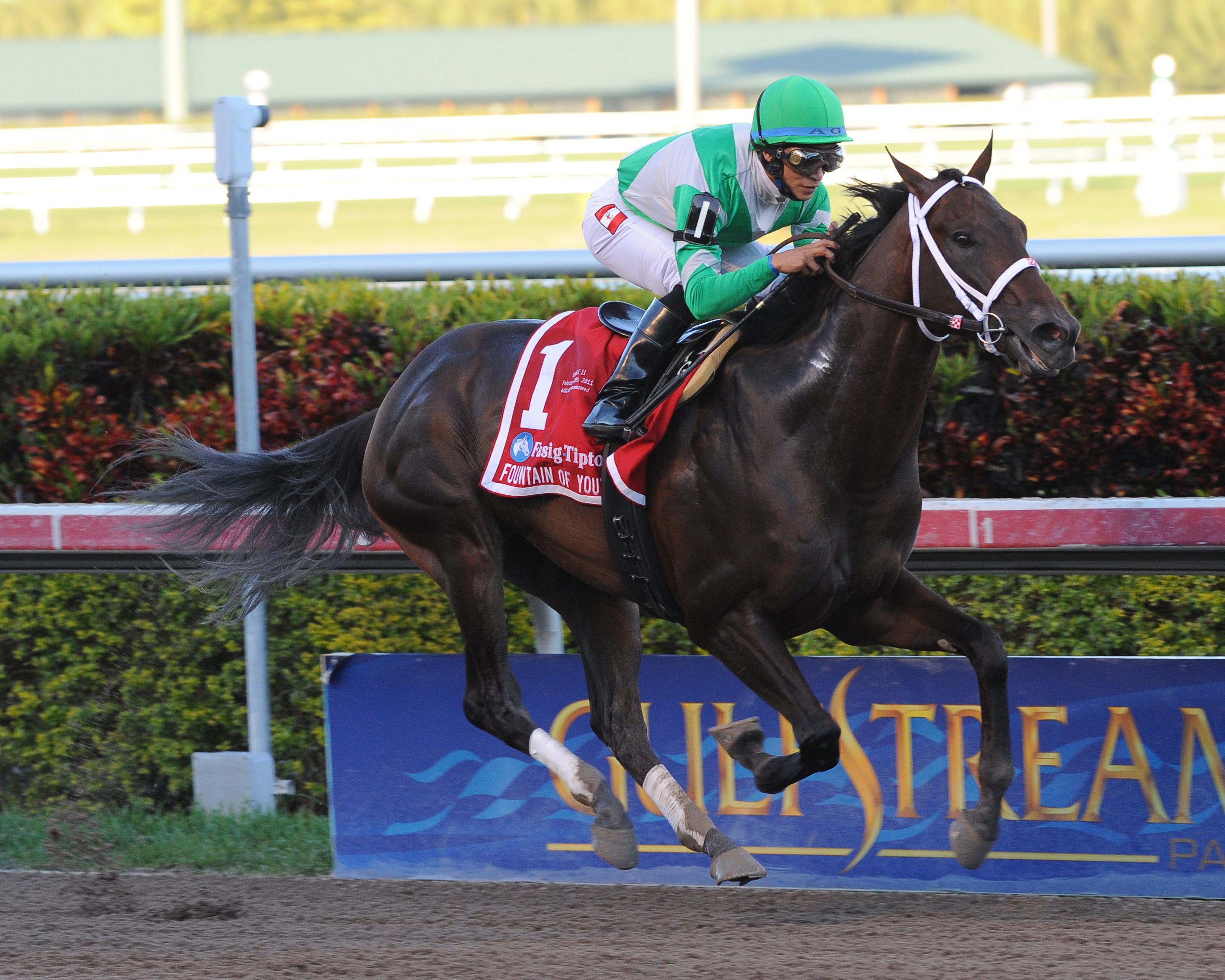 Gulfstream Park announces stakes schedule; Fountain of Youth shortened